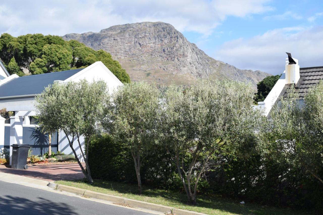 Protea Studio Franschhoek Central Екстериор снимка